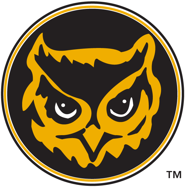 Kennesaw State Owls 1992-2011 Alternate Logo 01 iron on paper